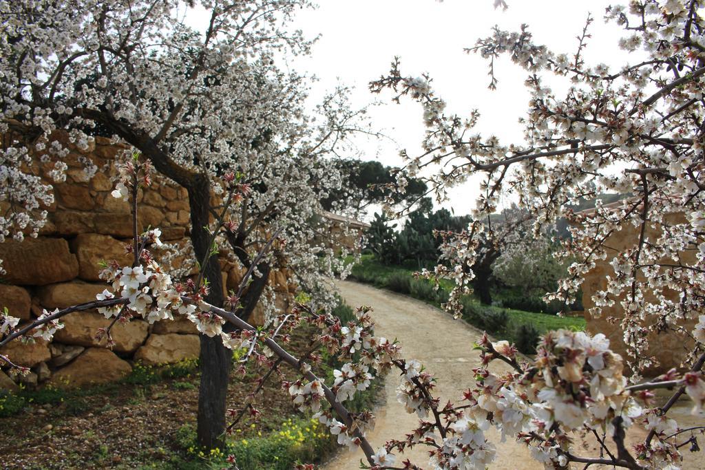 Agriturismo Feudo Muxarello Aragona Bagian luar foto
