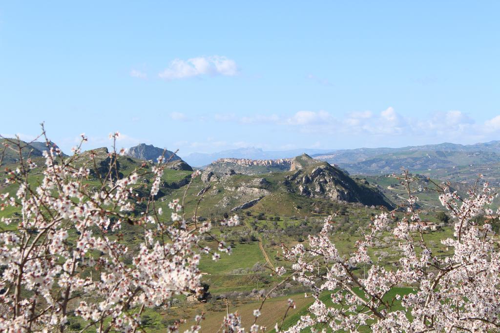 Agriturismo Feudo Muxarello Aragona Bagian luar foto