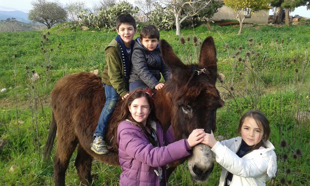 Agriturismo Feudo Muxarello Aragona Bagian luar foto